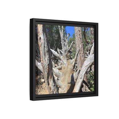Forest Sentinels - Unique Stretched Canvas Wall Art