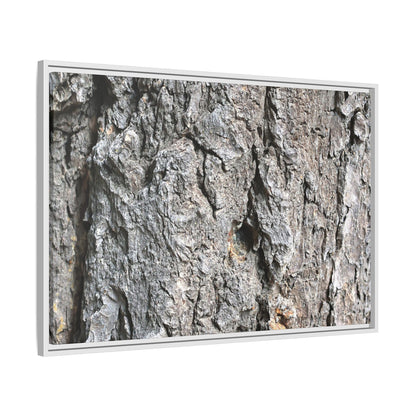 Crusty Exterior - Unique Stretched Canvas Wall Art - Art By Earth
