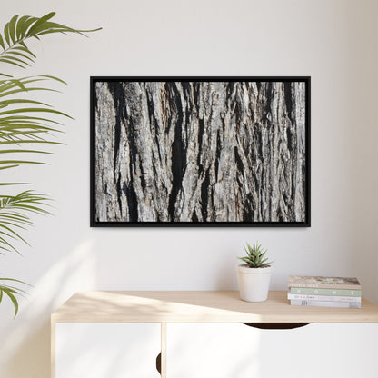 Bark Lines - Unique Stretched Canvas Wall Art - Art By Earth
