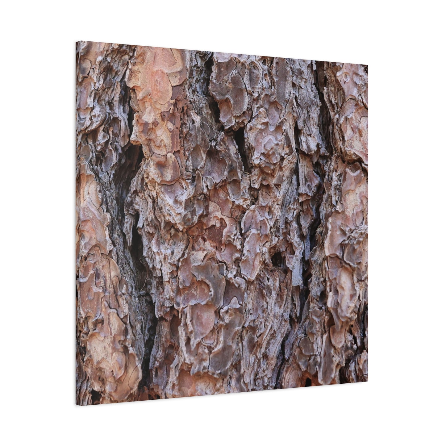 Rough Canvas - Unique Frameless Canvas Wall Art - Art By Earth