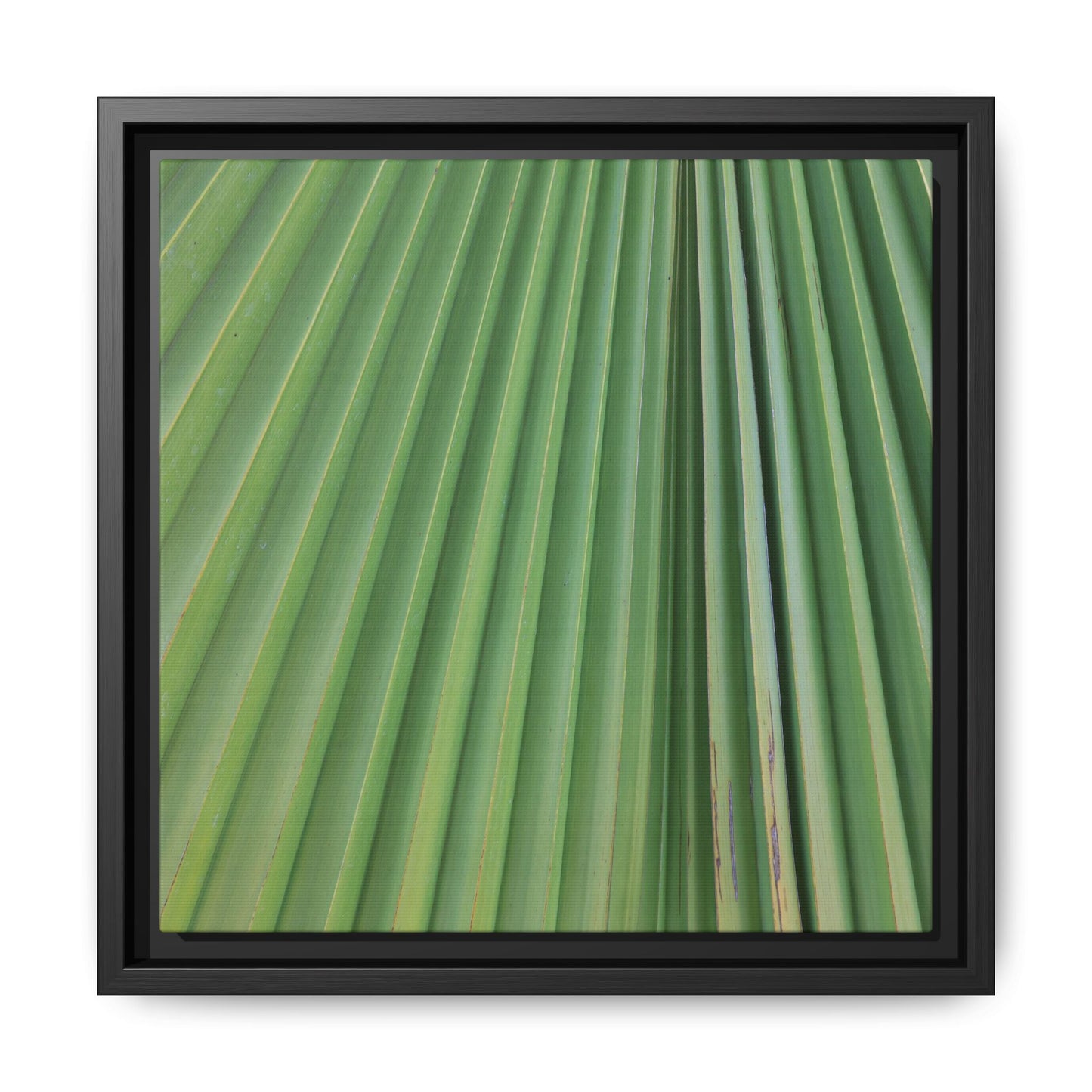 Emerald Rays - Unique Stretched Canvas Wall Art - Art By Earth