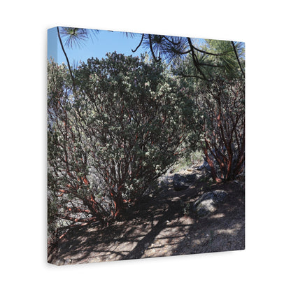 Desert Blooms - Unique Frameless Canvas Wall Art