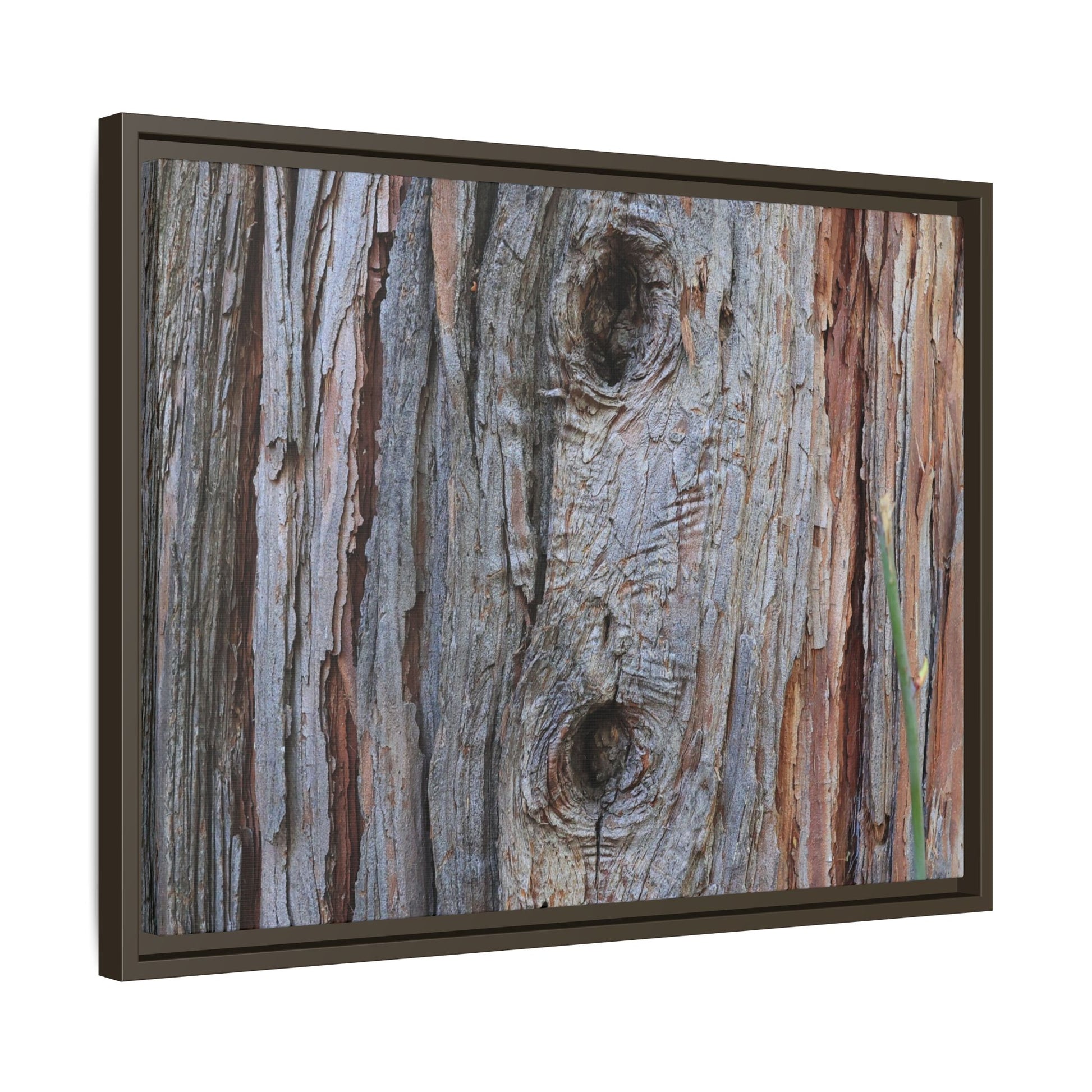 Knotty Nature - Unique Stretched Canvas Wall Art - Art By Earth