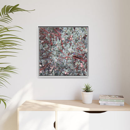 Whispers of Sage - Unique Stretched Canvas Wall Art - Art By Earth