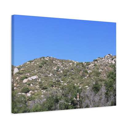 Rocky Hills with Desert Vegetation - Unique Frameless Canvas Wall Art