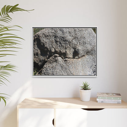Stone Skull in Desert - Unique Stretched Canvas Wall Art