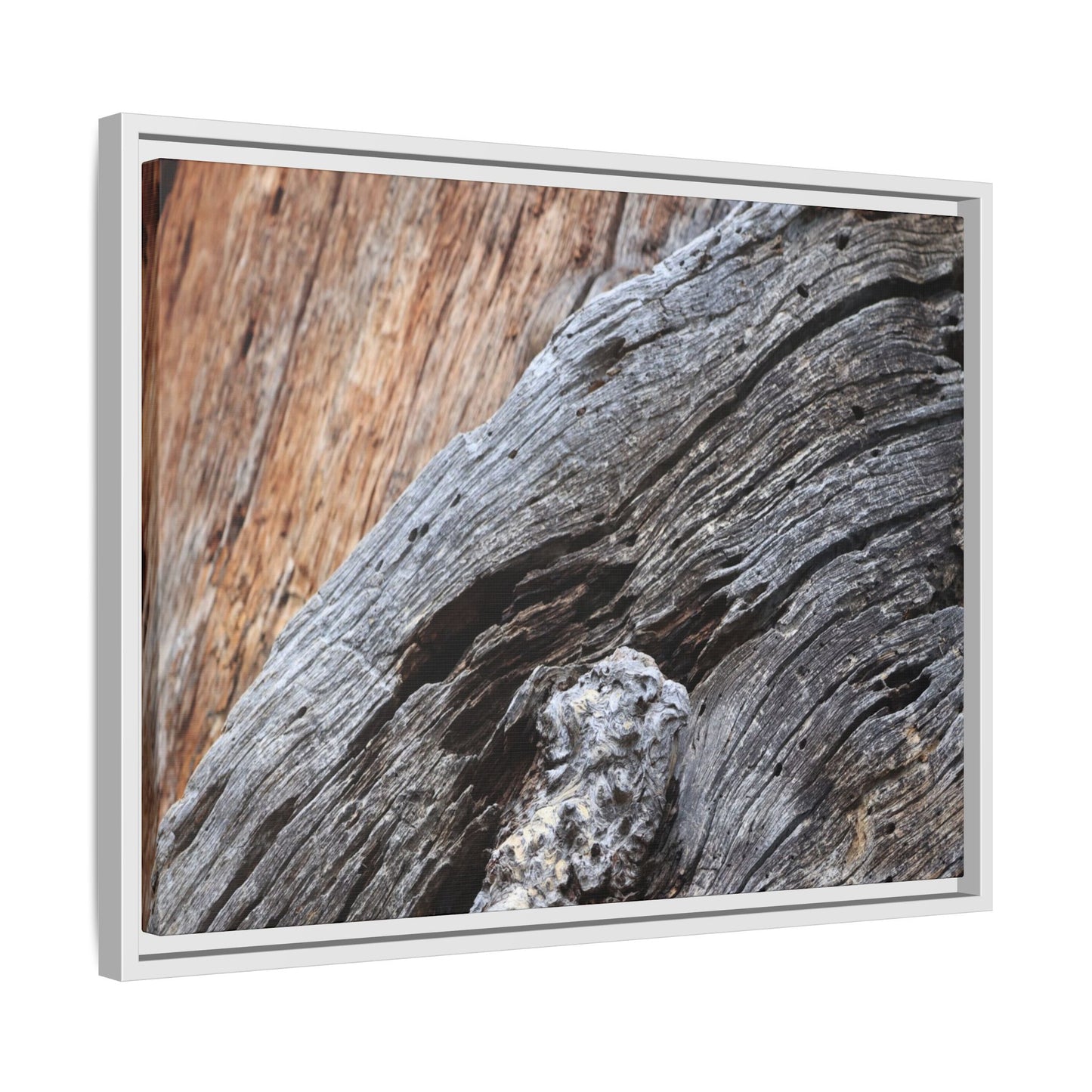 Time's Mark on Timber - Unique Stretched Canvas Wall Art - Art By Earth