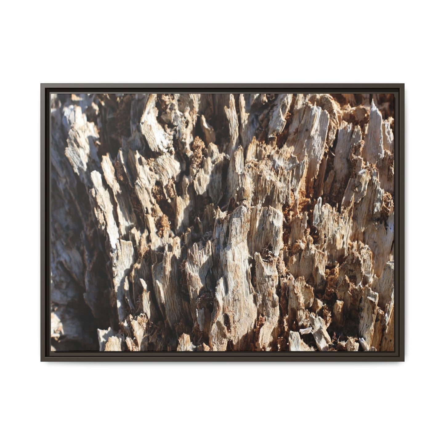 Fractal Fragments - Unique Stretched Canvas Wall Art