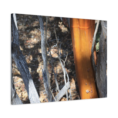 Burnt Forest Remnants - Unique Frameless Canvas Wall Art