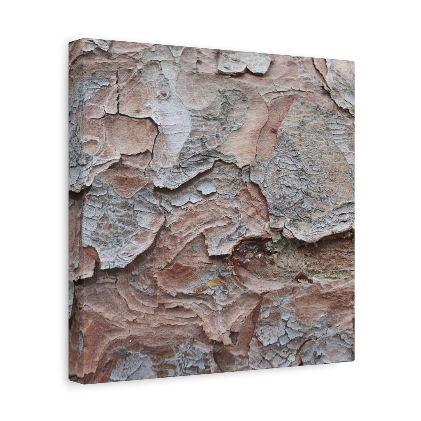 Textural Landscape - Unique Frameless Canvas Wall Art - Art By Earth