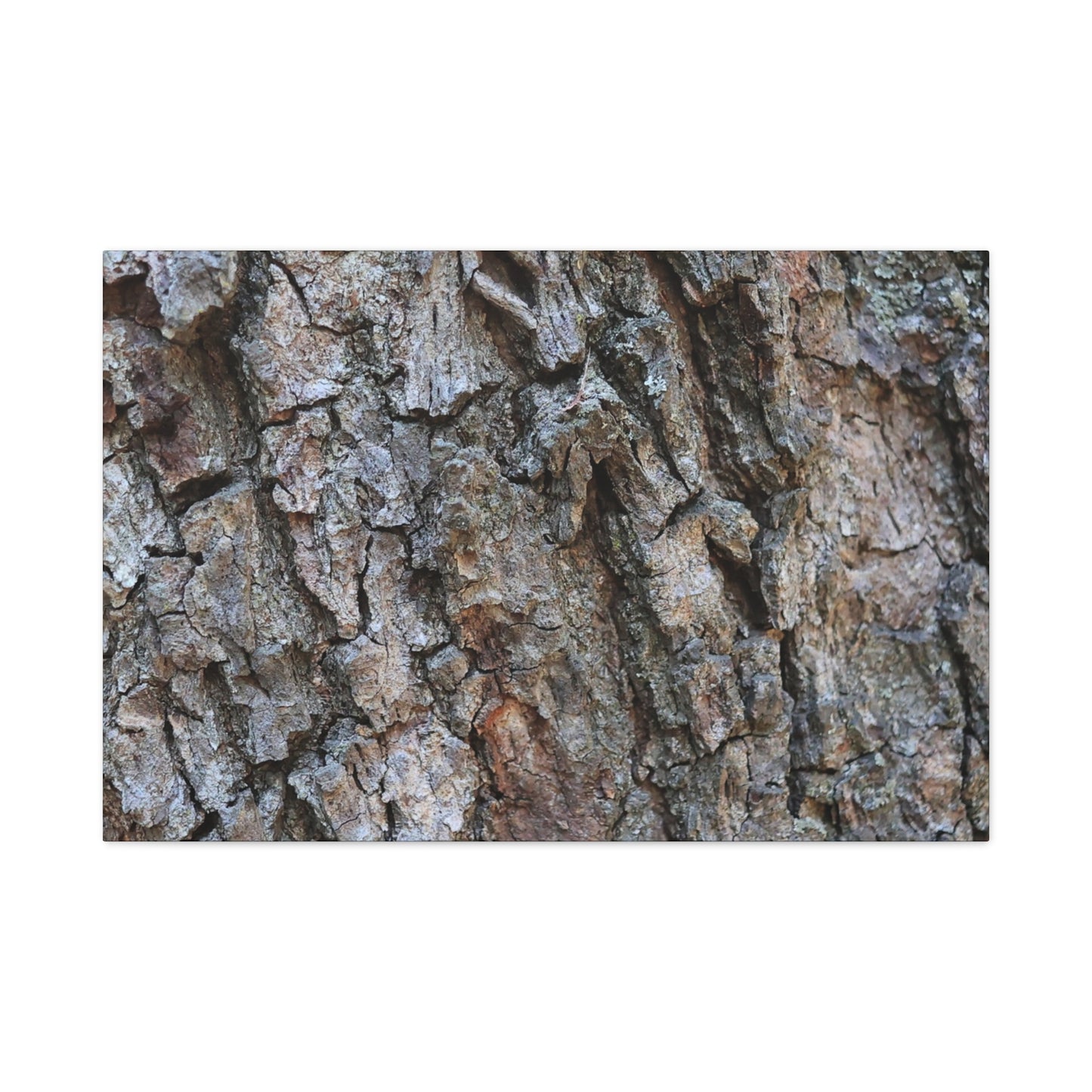 Rugged Canvas - Unique Frameless Canvas Wall Art - Art By Earth