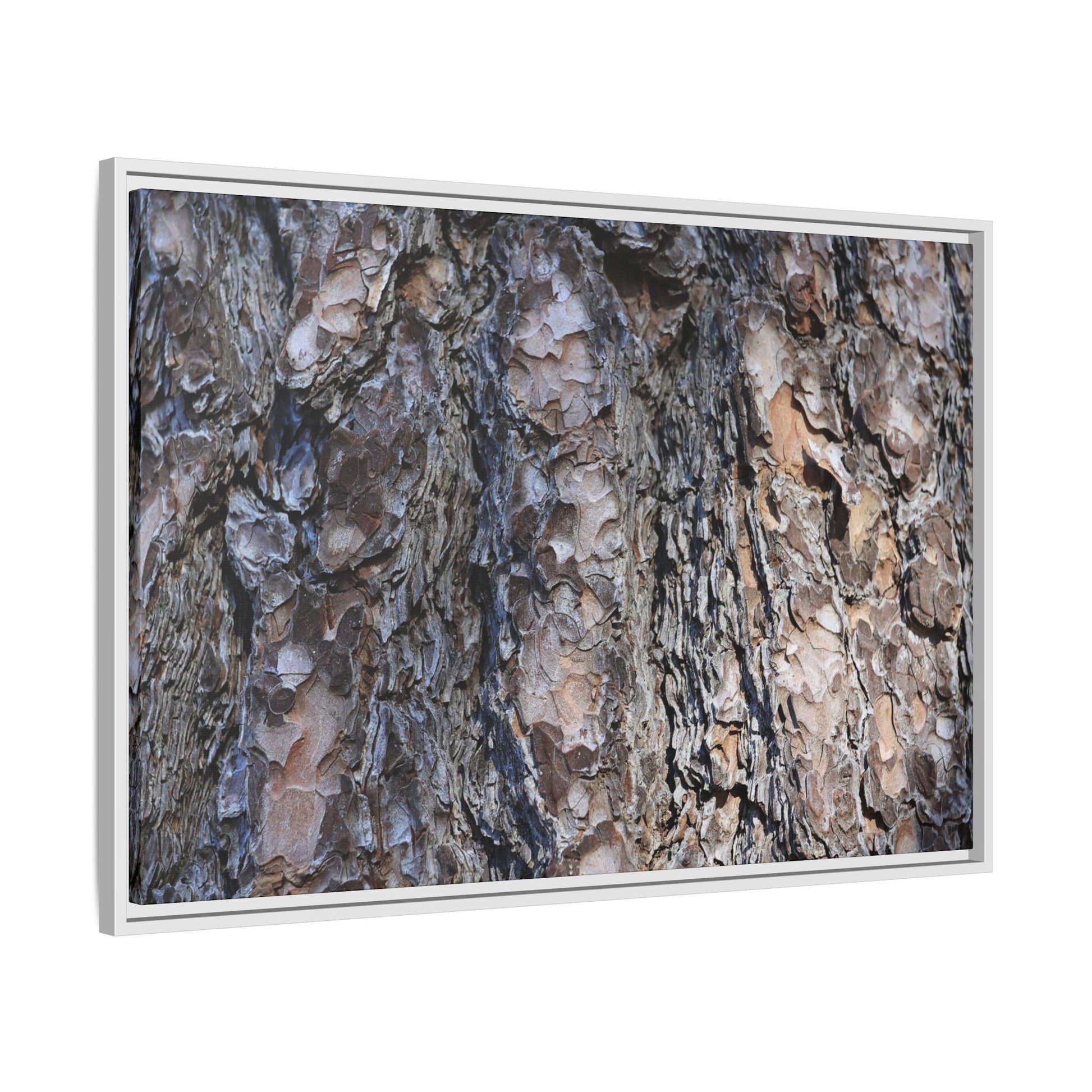 Weathered Patterns - Unique Stretched Canvas Wall Art - Art By Earth