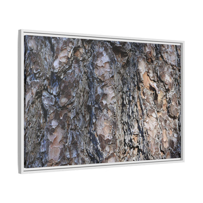 Weathered Patterns - Unique Stretched Canvas Wall Art - Art By Earth