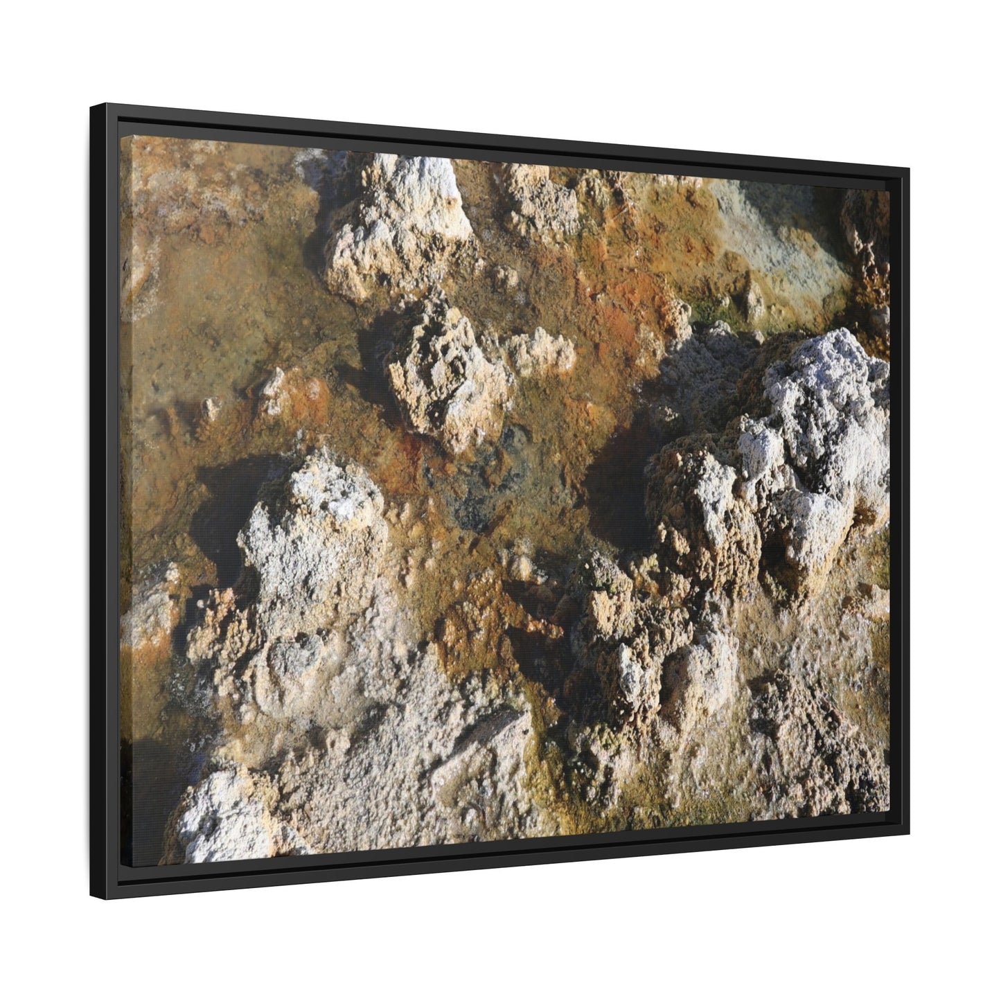 Textural Metamorphosis - Unique Stretched Canvas Wall Art