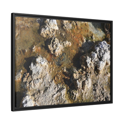 Textural Metamorphosis - Unique Stretched Canvas Wall Art