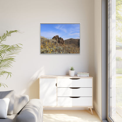 Golden Flowers in Arid Landscape - Unique Stretched Canvas Wall Art - Art By Earth
