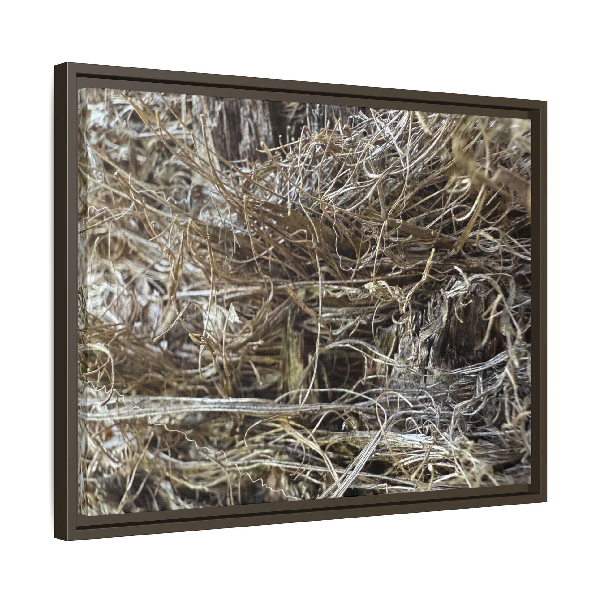 Tangled Whispers of Autumn - Unique Stretched Canvas Wall Art - Art By Earth