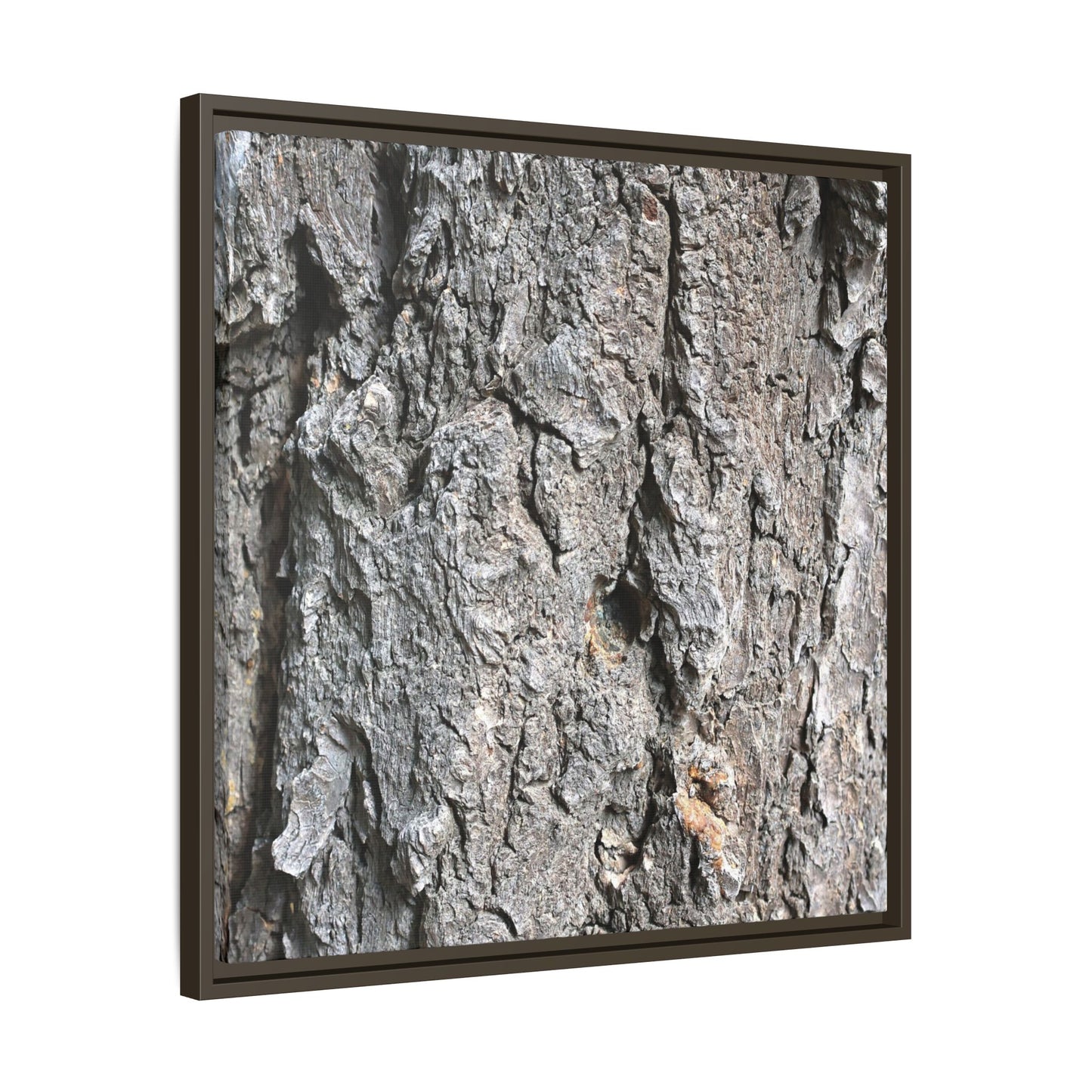 Crusty Exterior - Unique Stretched Canvas Wall Art - Art By Earth