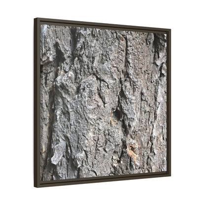 Crusty Exterior - Unique Stretched Canvas Wall Art - Art By Earth