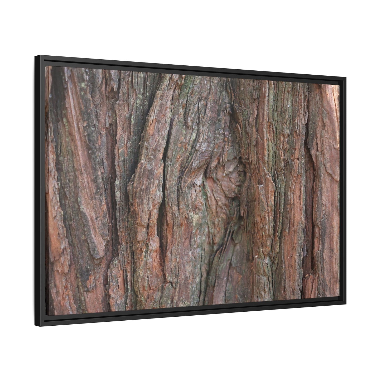 Rugged Textures - Unique Stretched Canvas Wall Art - Art By Earth