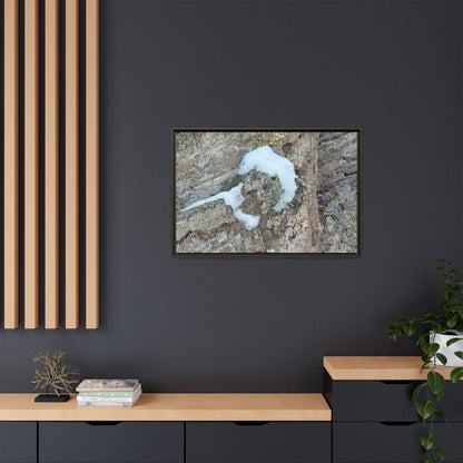 Lichen's Embrace - Unique Stretched Canvas Wall Art