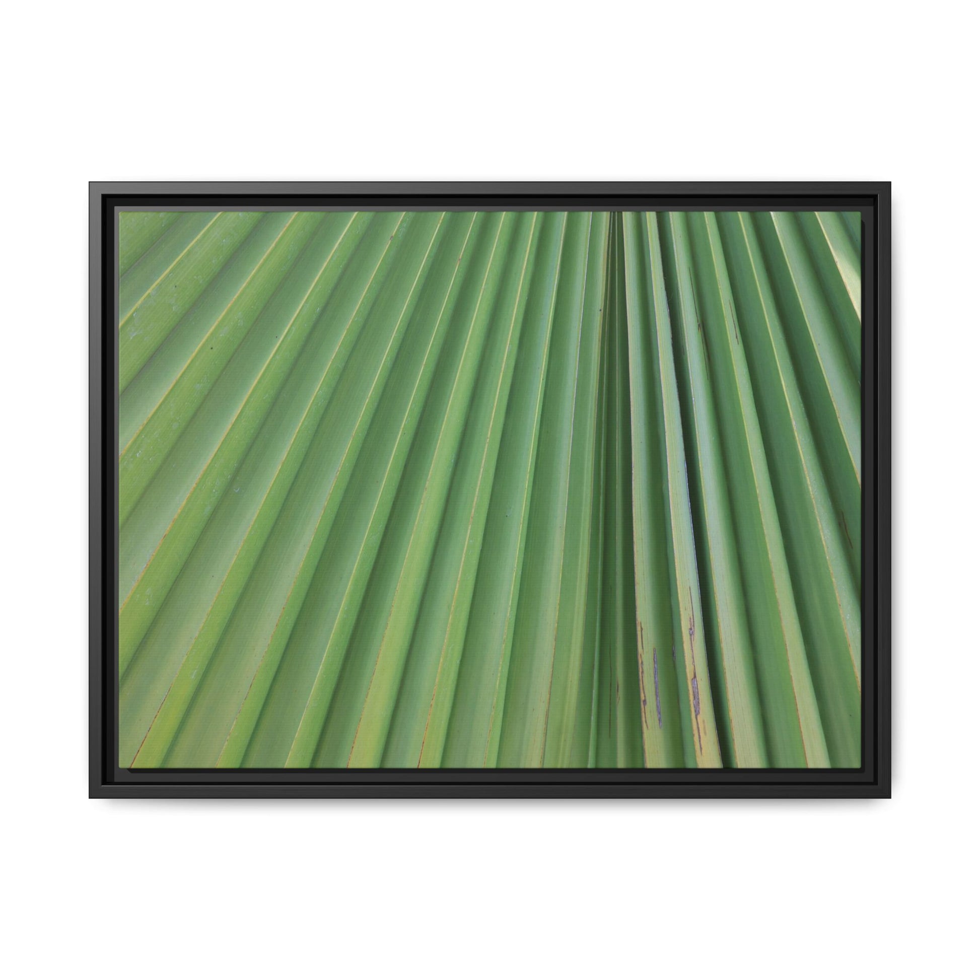 Emerald Rays - Unique Stretched Canvas Wall Art - Art By Earth