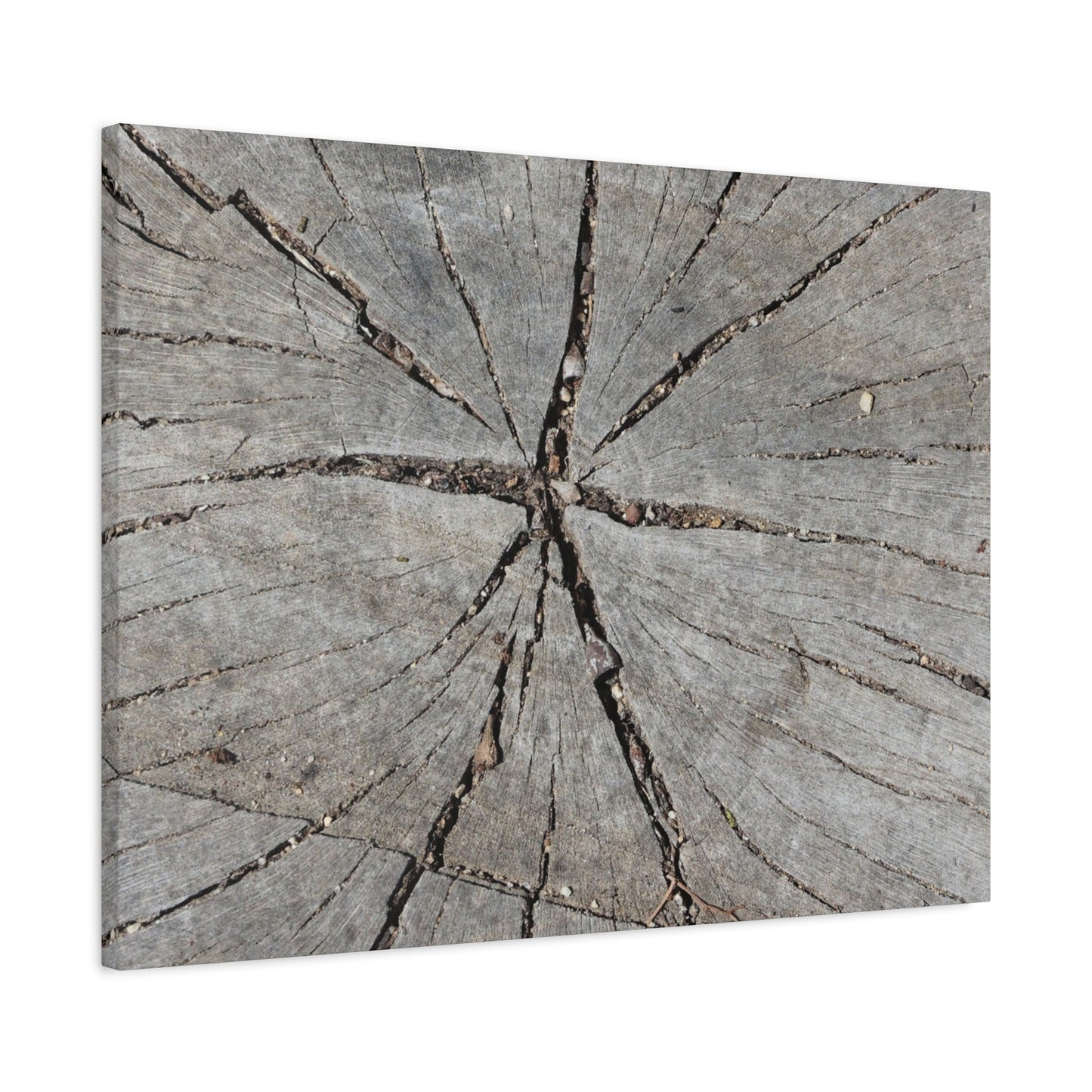 Cracked Chronicle - Unique Frameless Canvas Wall Art - Art By Earth