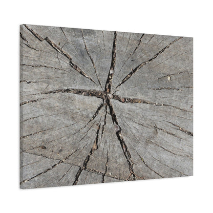 Cracked Chronicle - Unique Frameless Canvas Wall Art - Art By Earth