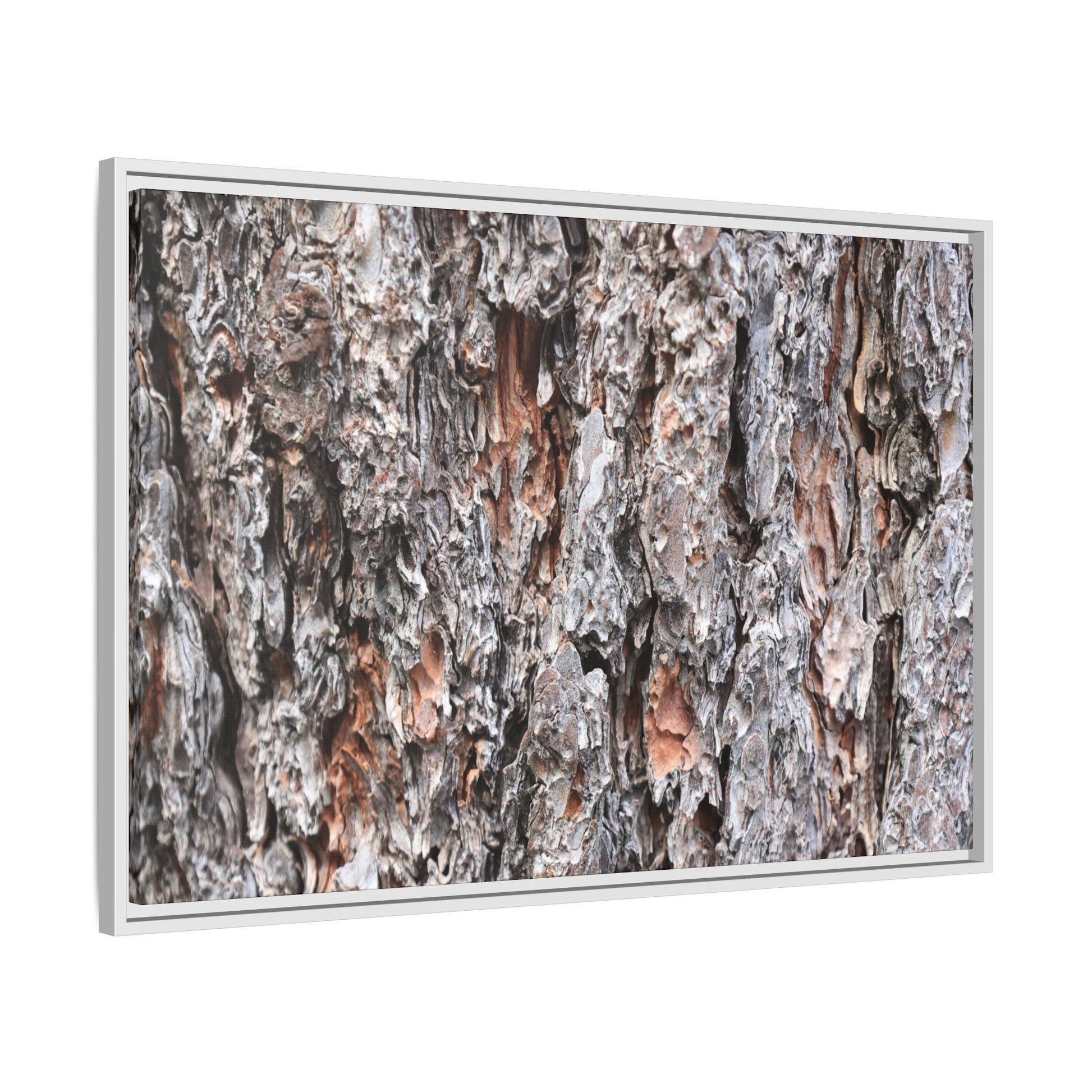 Rugged Cortex - Unique Stretched Canvas Wall Art - Art By Earth