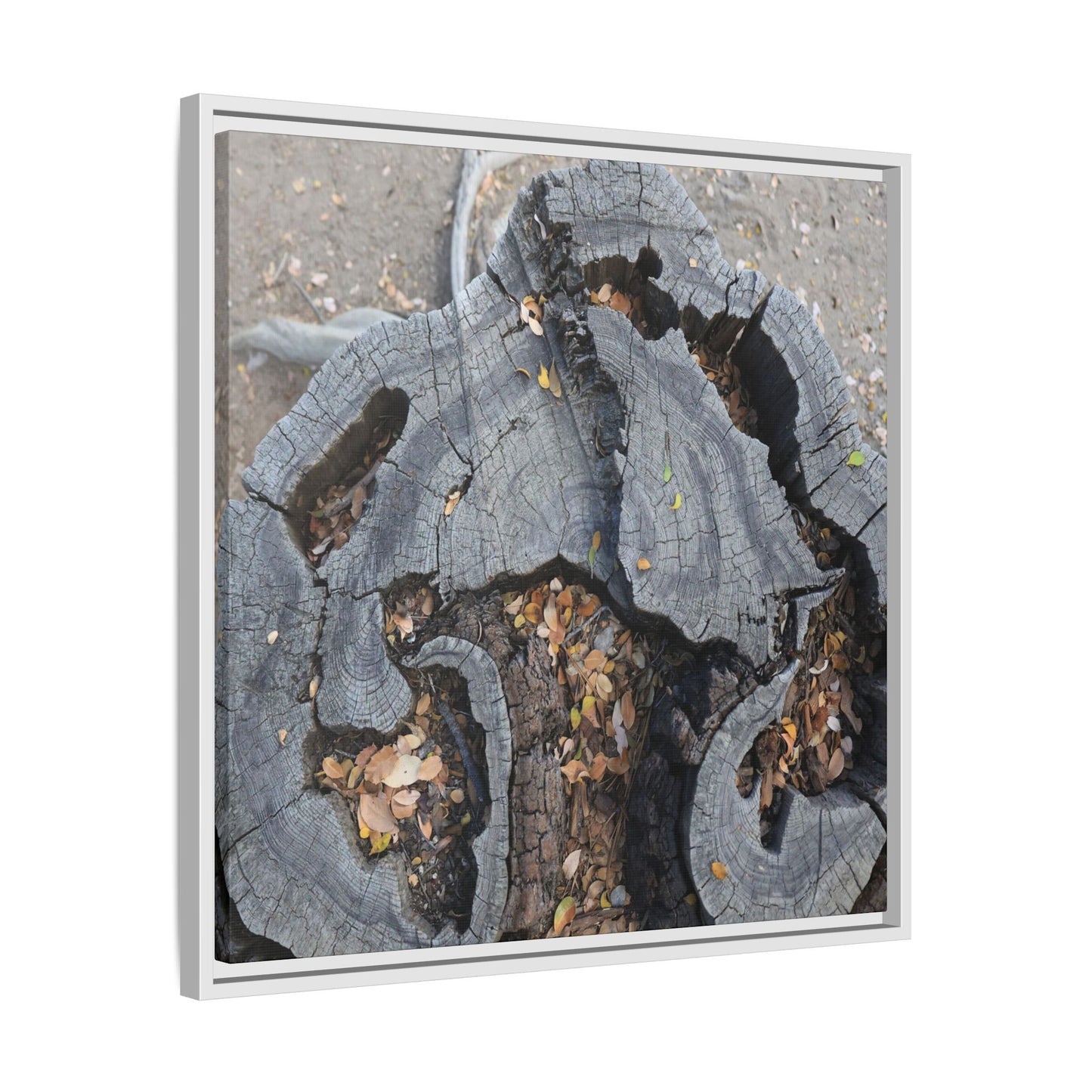 Time's Fractal Memory - Unique Stretched Canvas Wall Art - Art By Earth