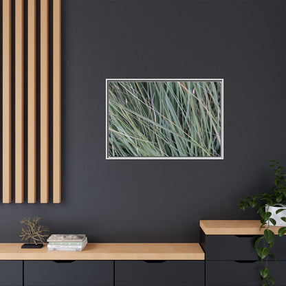 Grassland Symphony - Unique Stretched Canvas Wall Art - Art By Earth
