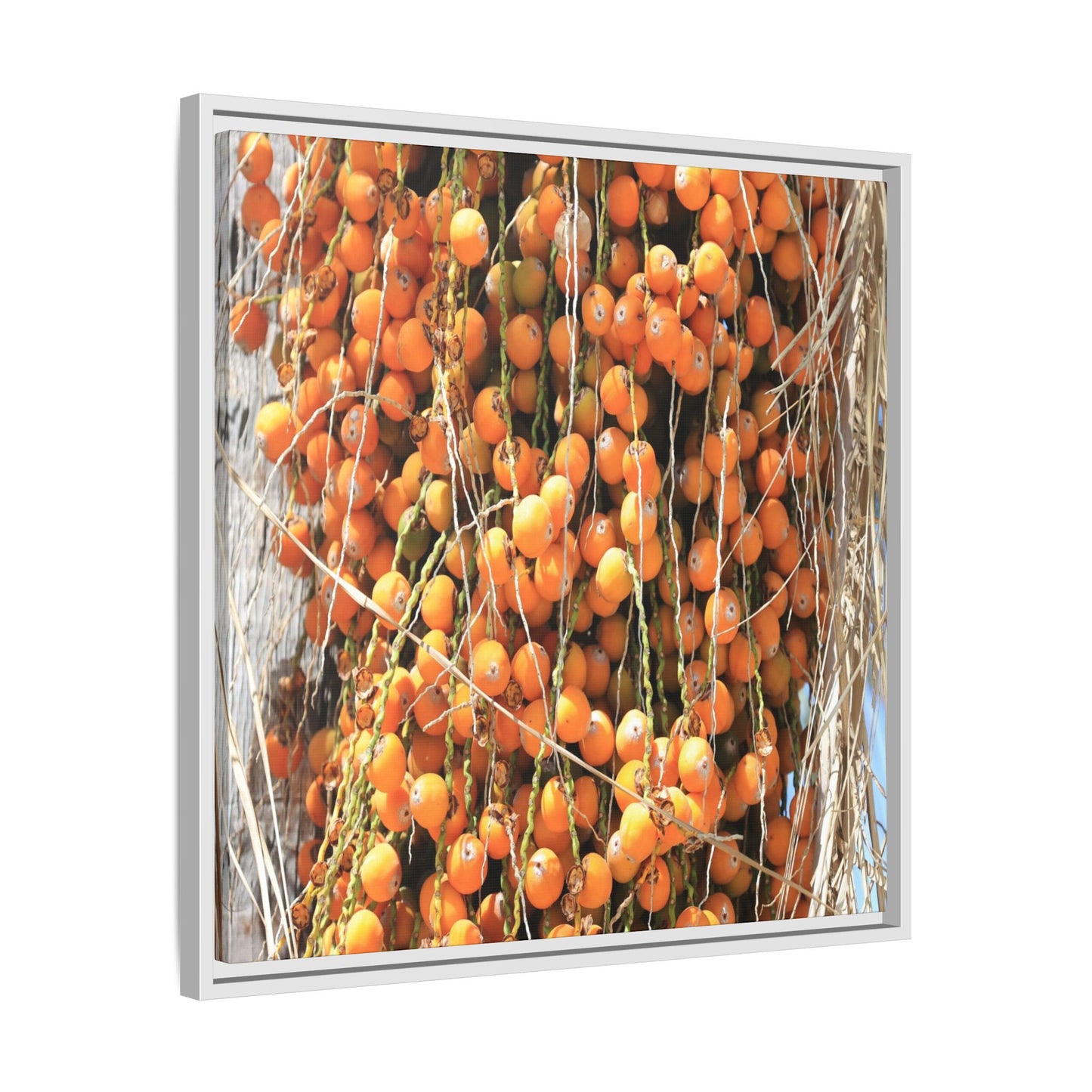 Clusters of Sunlight - Unique Canvas Wall Art - Art By Earth