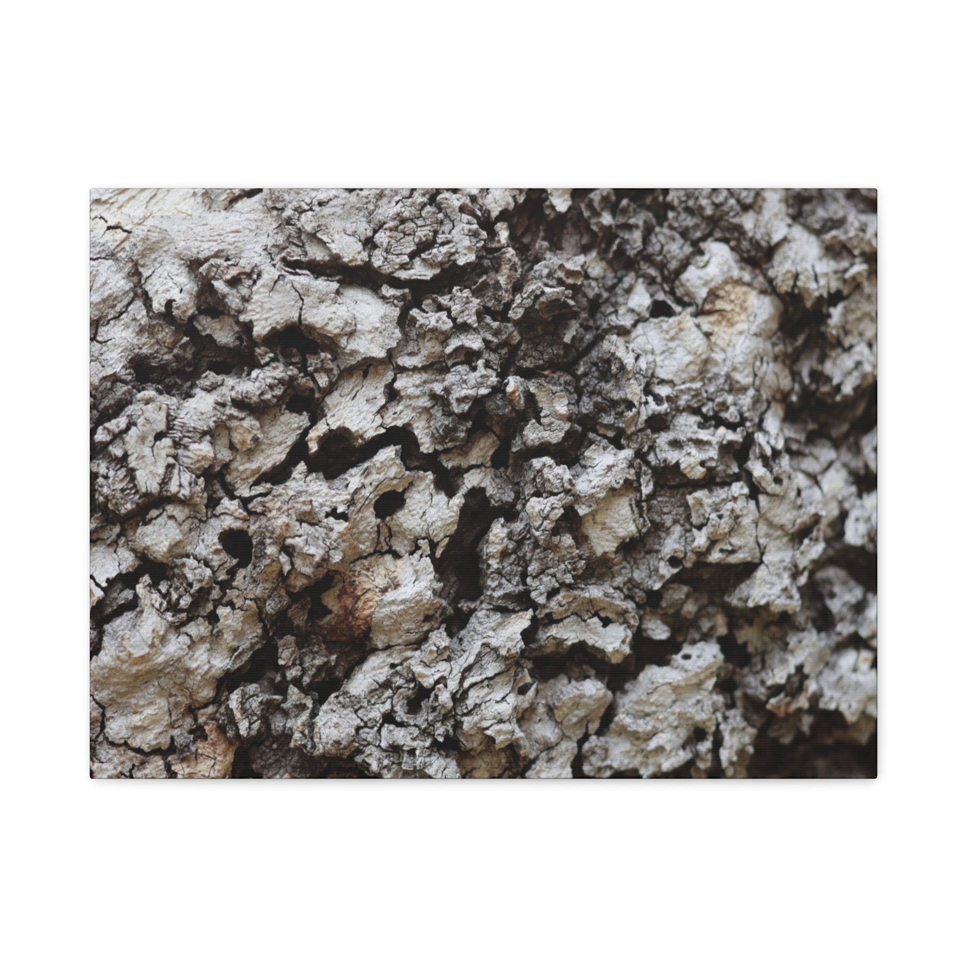 Cracked Earth Tapestry - Unique Frameless Canvas Wall Art - Art By Earth