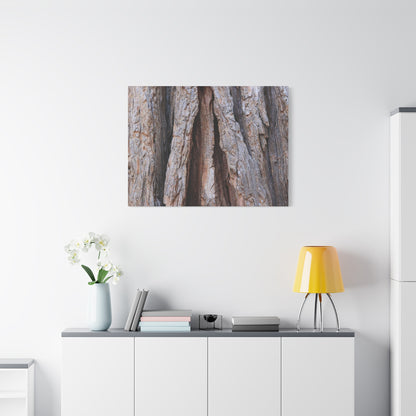Fractured Skin of Time - Unique Frameless Canvas Wall Art - Art By Earth