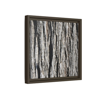 Bark Lines - Unique Stretched Canvas Wall Art - Art By Earth