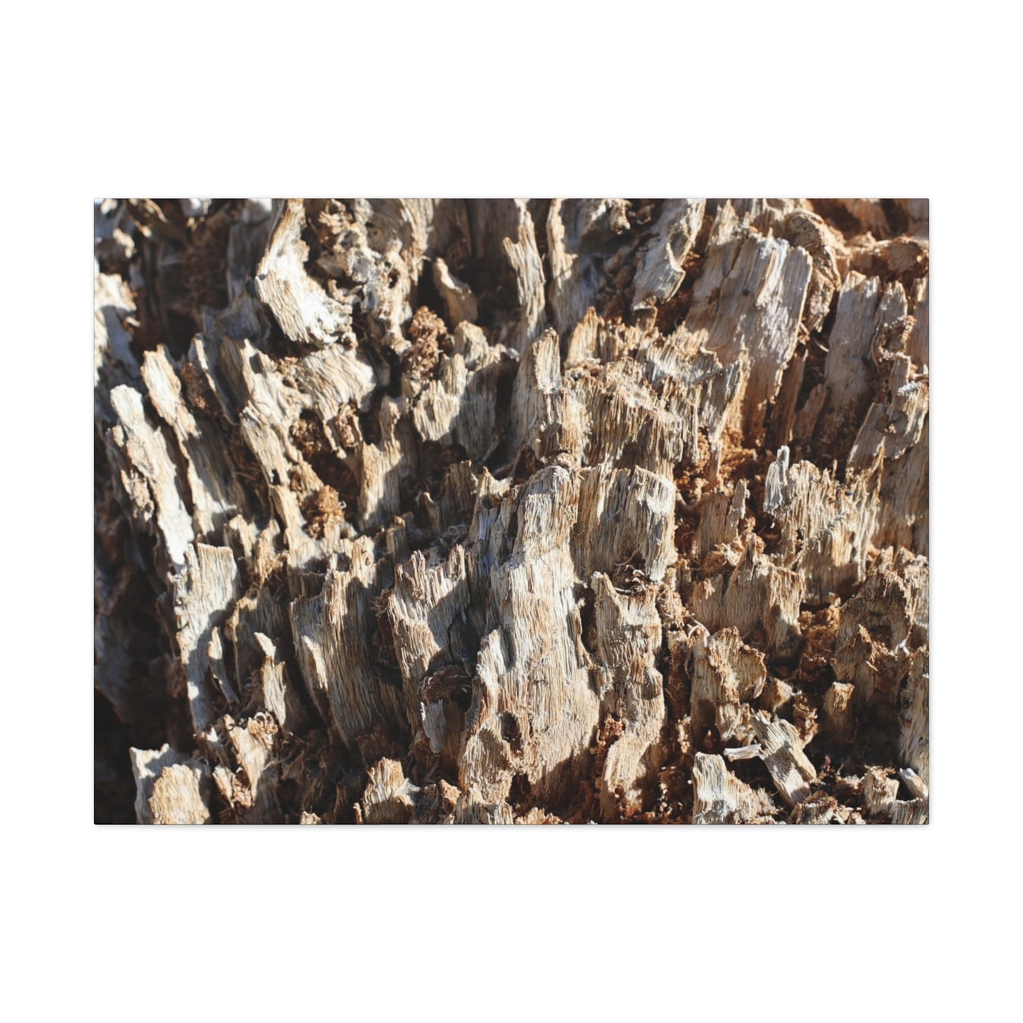 Decaying Bark Symphony - Unique Frameless Canvas Wall Art