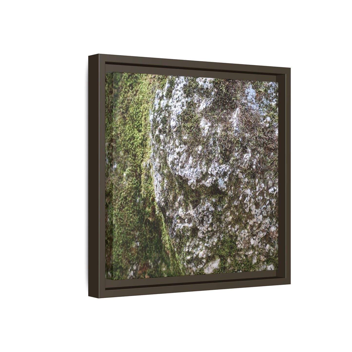 Lichen Landscape - Unique Stretched Canvas Wall Art - Art By Earth