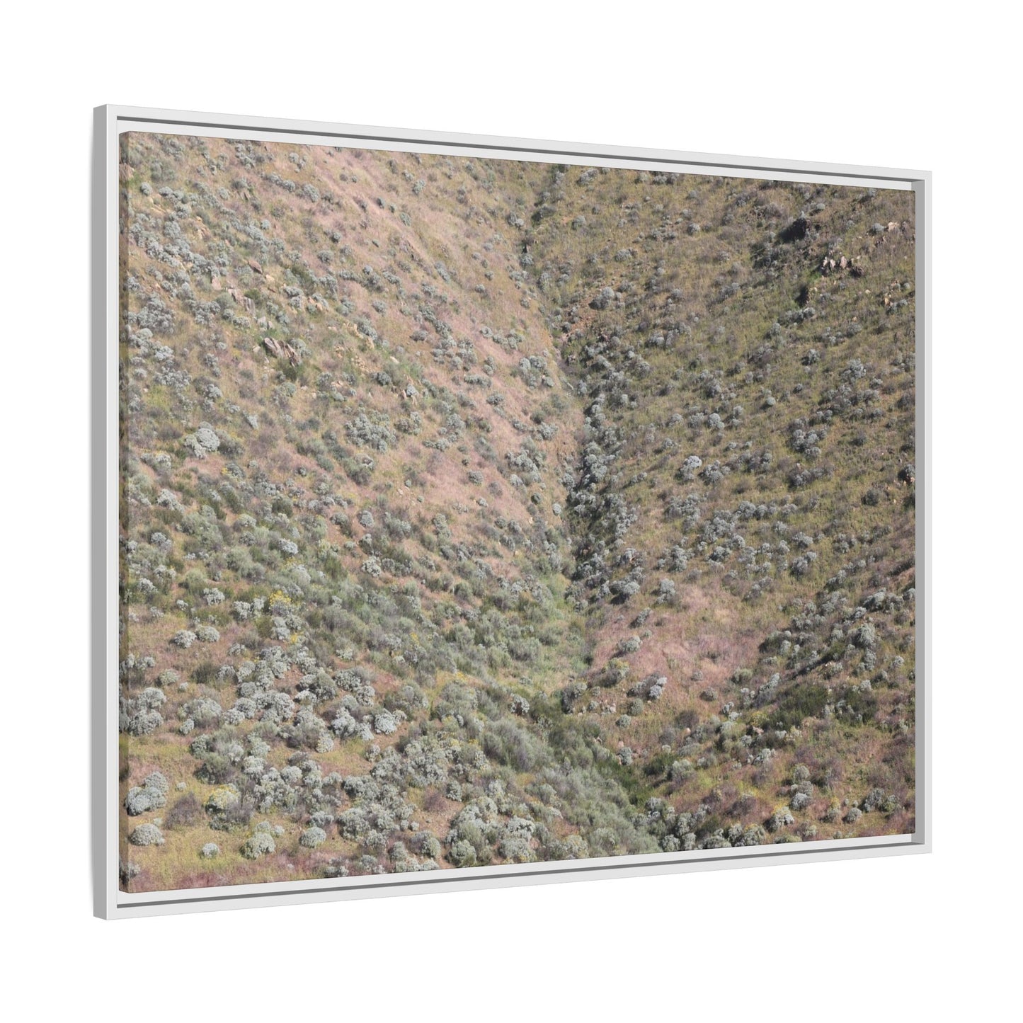 Mountain Slope with Desert Vegetation - Unique Stretched Canvas Wall Art - Art By Earth