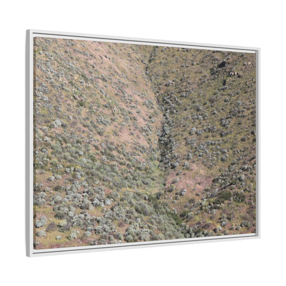 Mountain Slope with Desert Vegetation - Unique Stretched Canvas Wall Art - Art By Earth