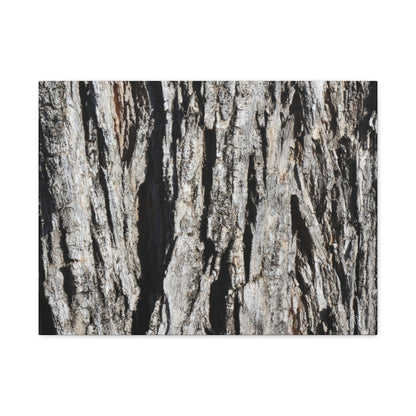 Bark Textures in Monochrome - Unique Frameless Canvas Wall Art - Art By Earth