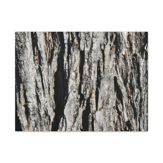 Bark Textures in Monochrome - Unique Frameless Canvas Wall Art - Art By Earth