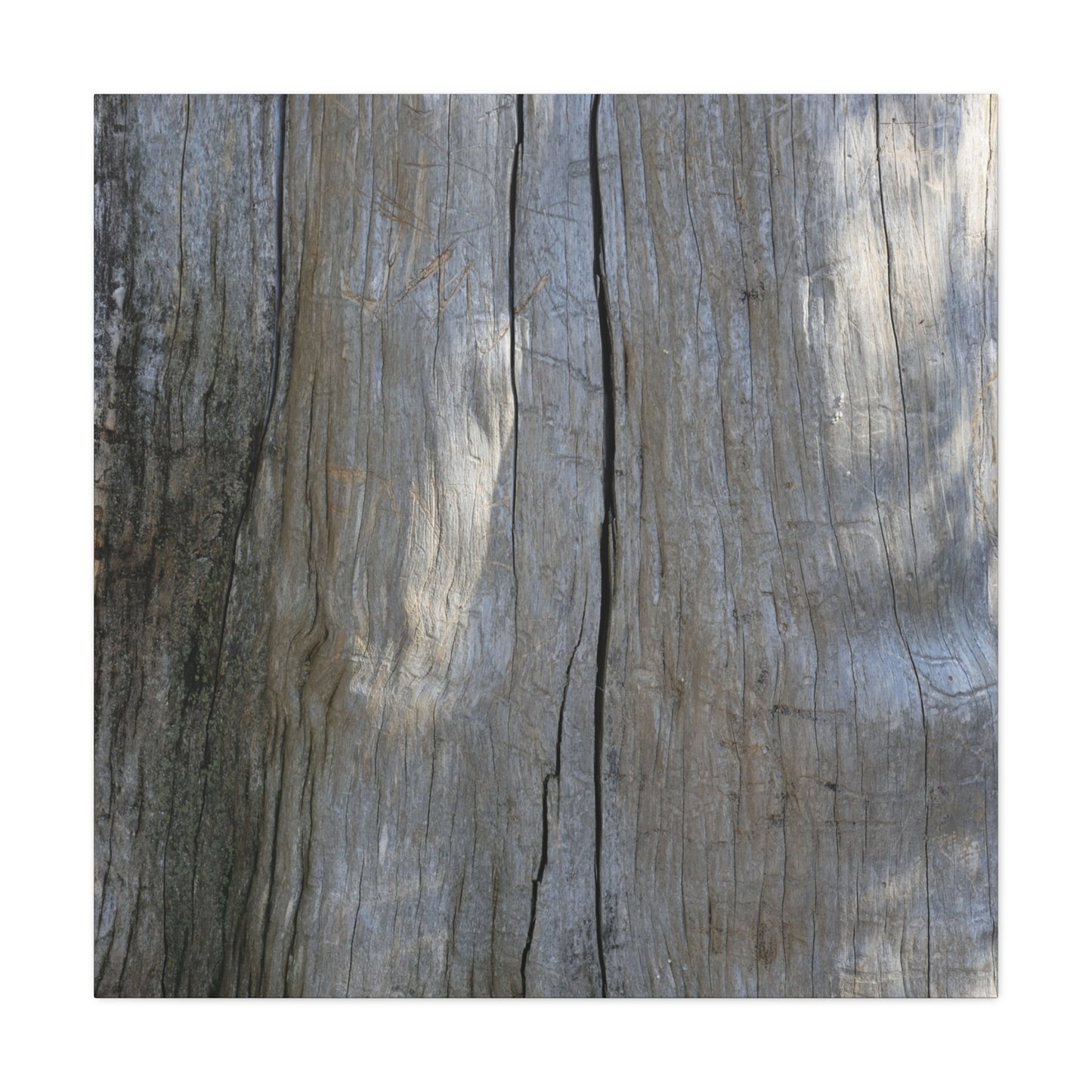 Split Log - Unique Frameless Canvas Wall Art