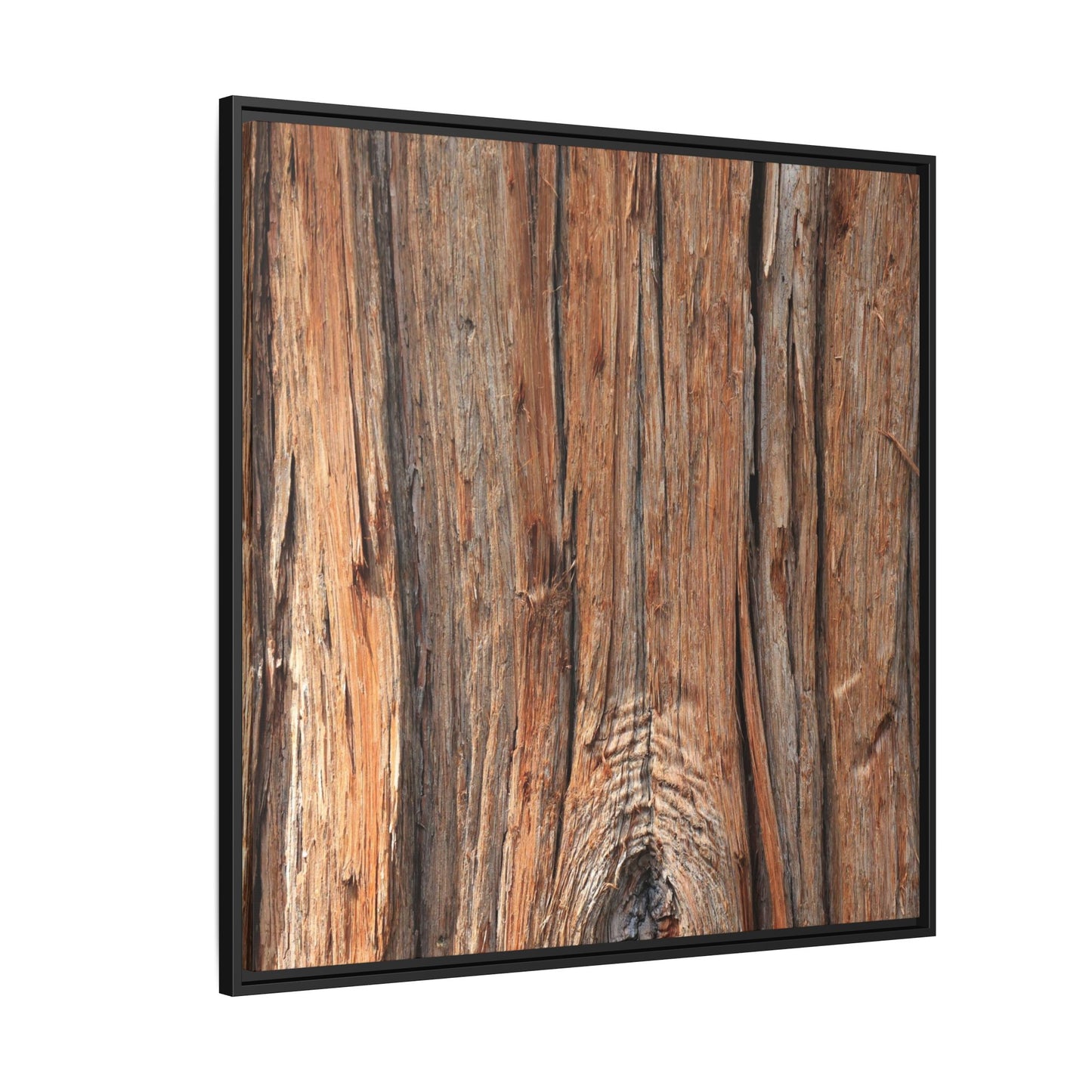 Echoes of Timber - Unique Stretched Canvas Wall Art - Art By Earth