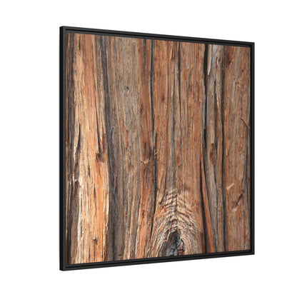 Echoes of Timber - Unique Stretched Canvas Wall Art - Art By Earth