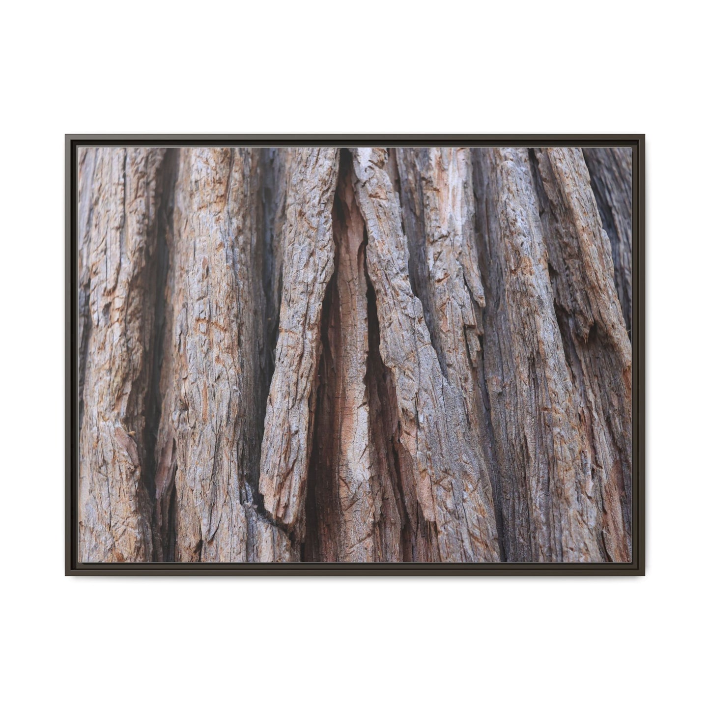 Nature's Sculpture - Unique Stretched Canvas Wall Art - Art By Earth