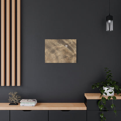 Sandy Shore Impressions - Unique Frameless Canvas Wall Art - Art By Earth