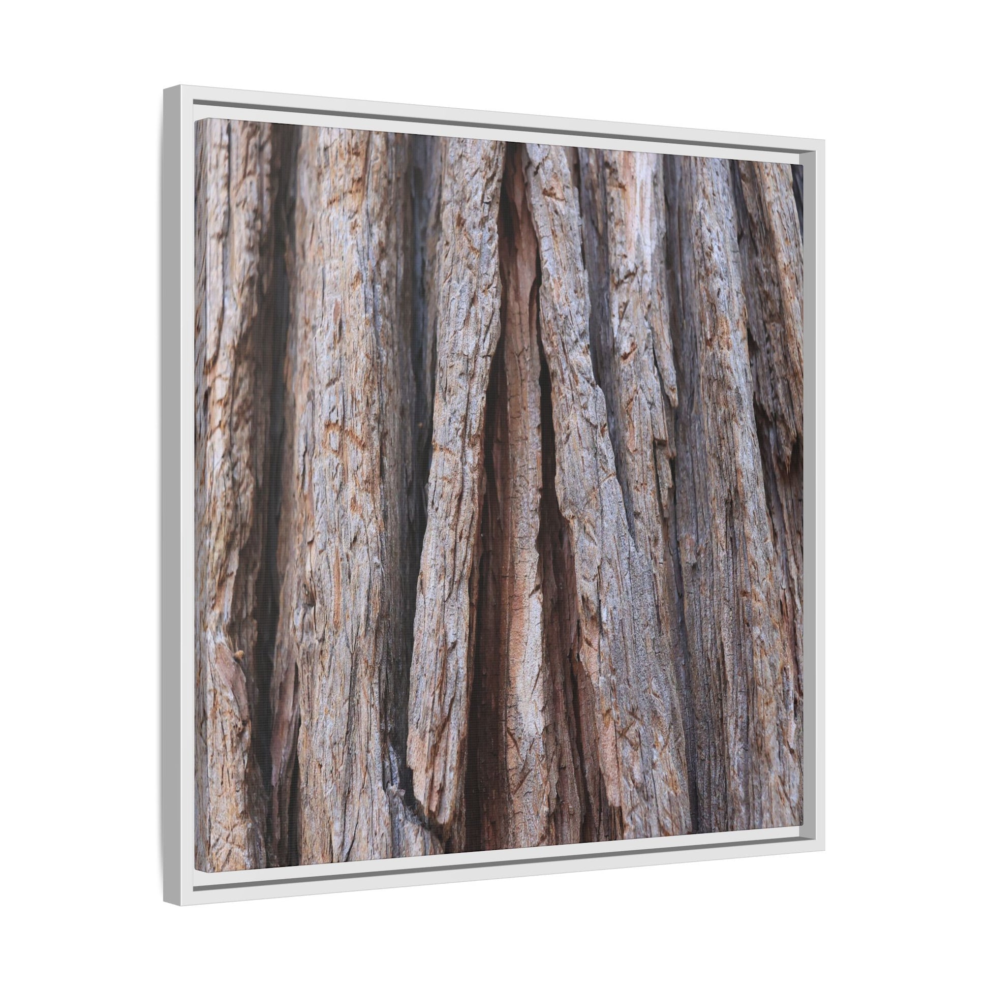 Nature's Sculpture - Unique Stretched Canvas Wall Art - Art By Earth
