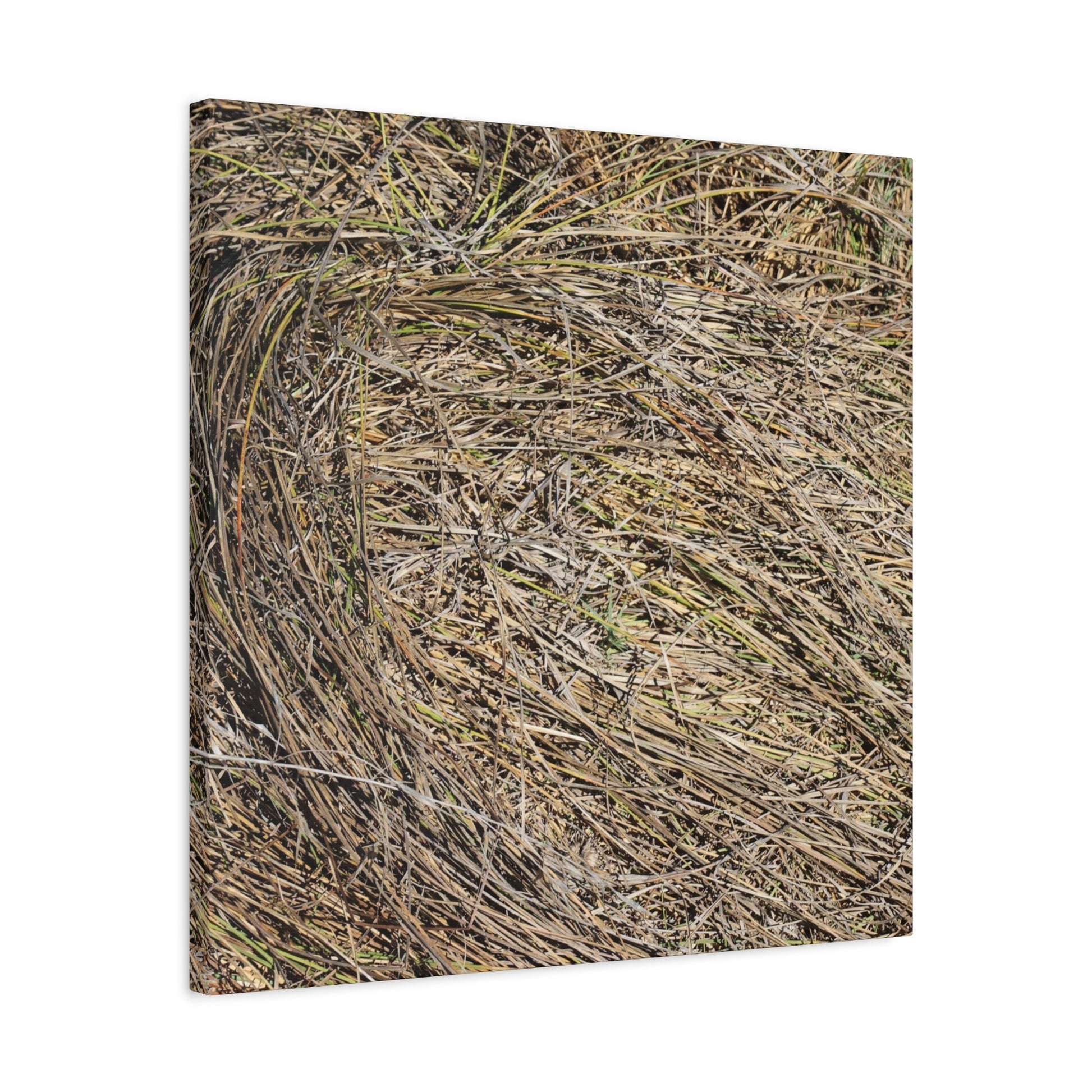 Tangled Hay - Unique Stretched Canvas Wall Art - Art By Earth