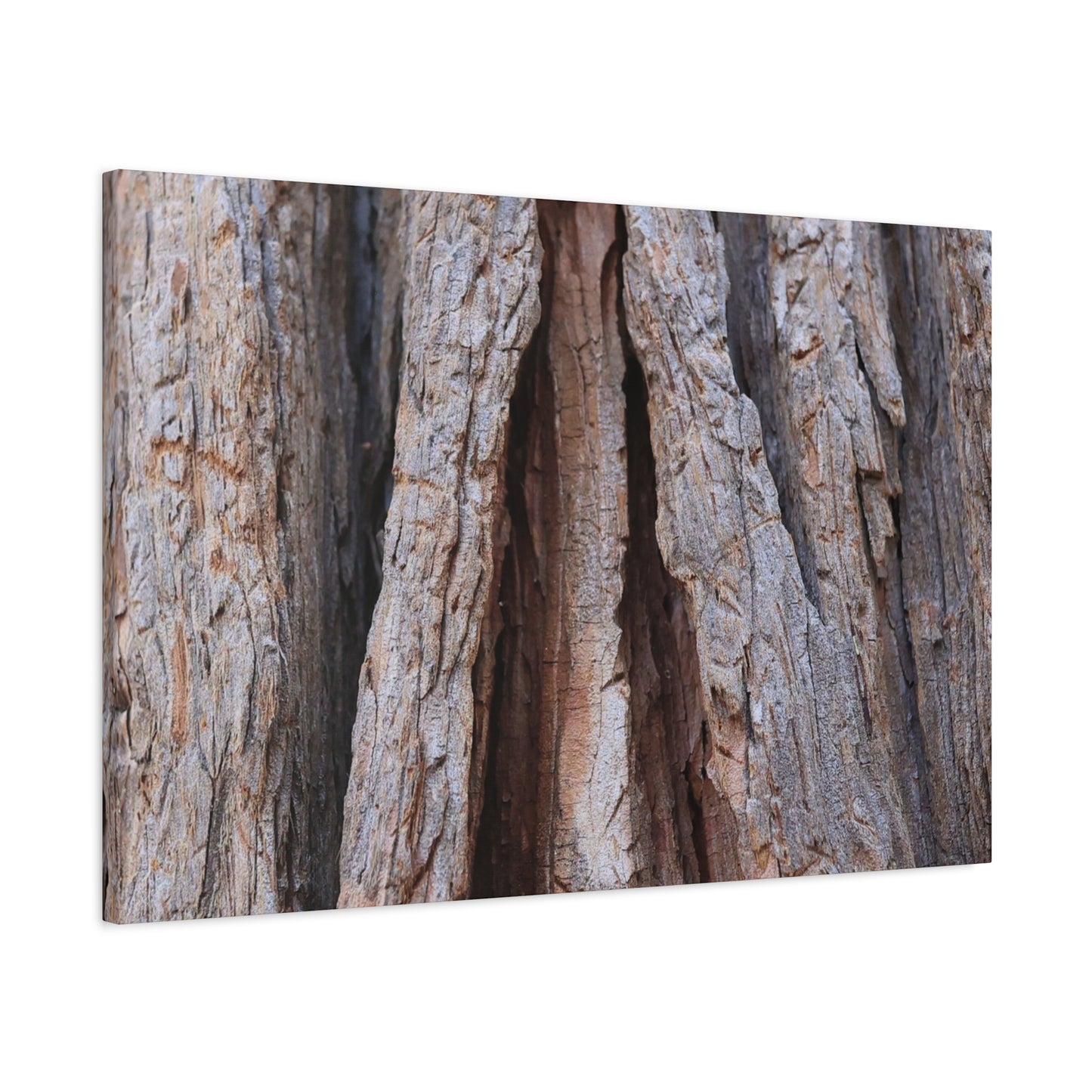 Fractured Skin of Time - Unique Frameless Canvas Wall Art - Art By Earth