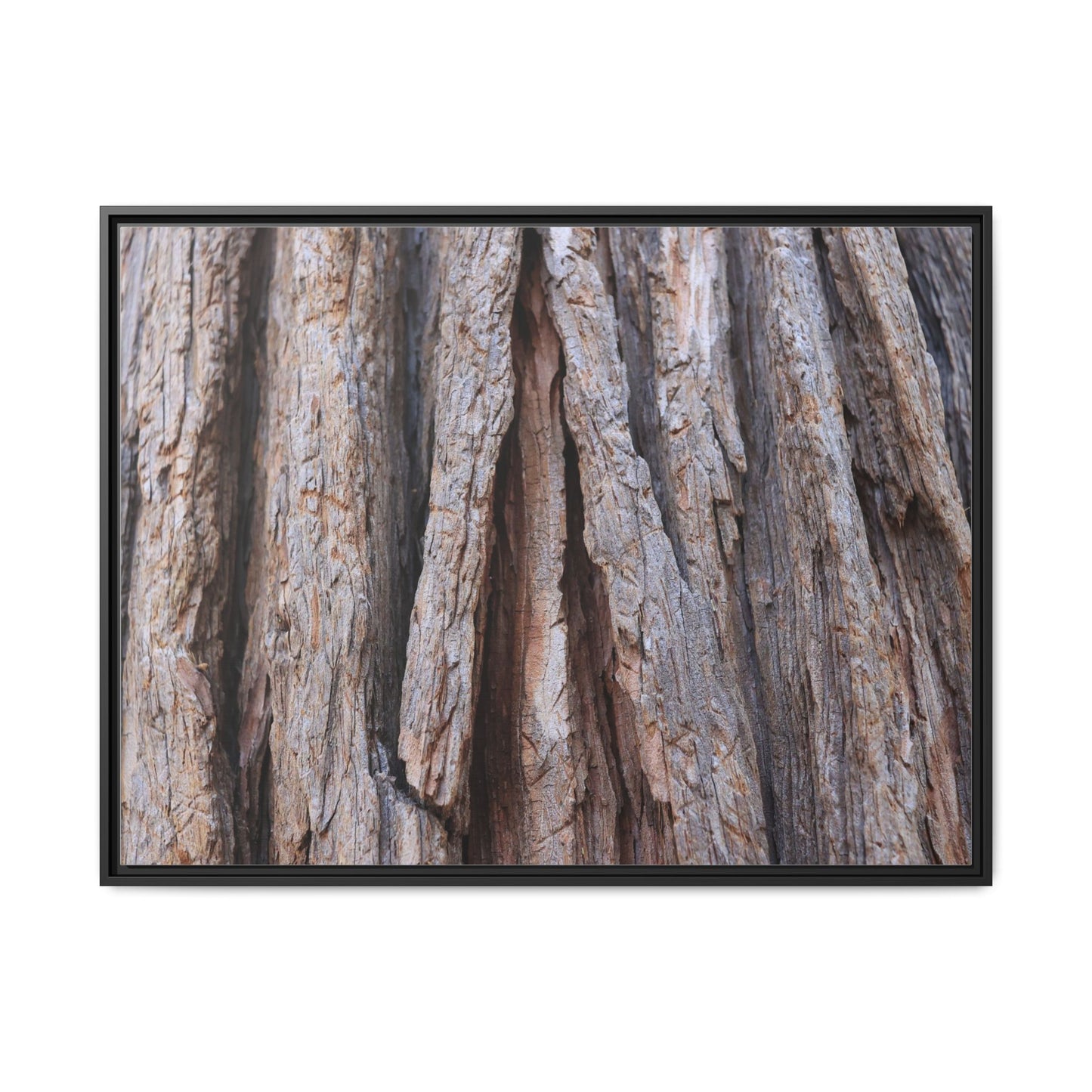 Nature's Sculpture - Unique Stretched Canvas Wall Art - Art By Earth